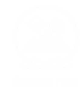 Sematex Logo